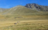 DSC03137.JPG