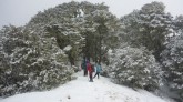 7.+Back+to+the+forest.jpg