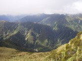 Our+saddle+bet+Rocky+%2B+Griffin++Creeks.jpg